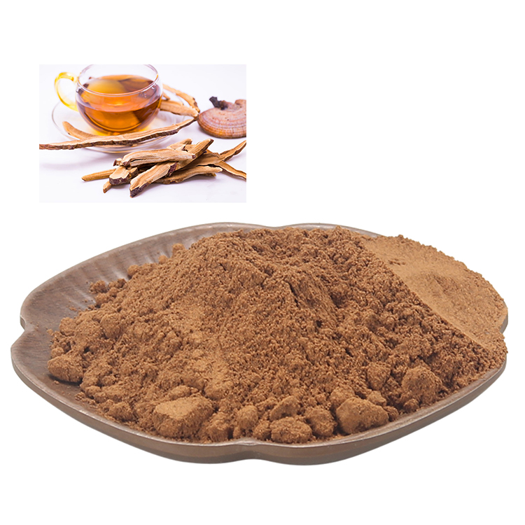 Reishi and Adaptogens: The Ultimate Stress Support
